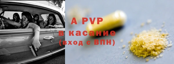 стаф Тутаев