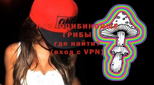стаф Усинск
