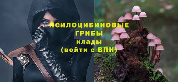 индика Ханты-Мансийск
