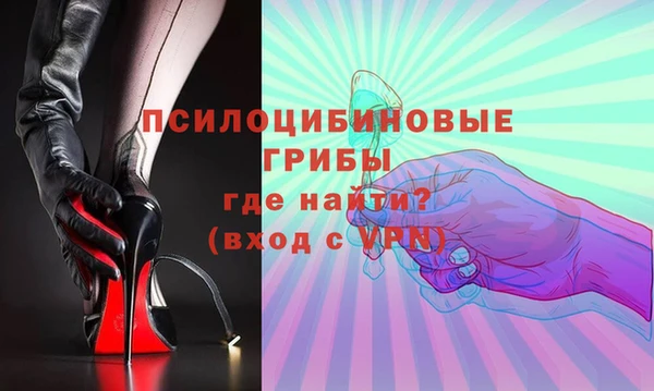 индика Ханты-Мансийск