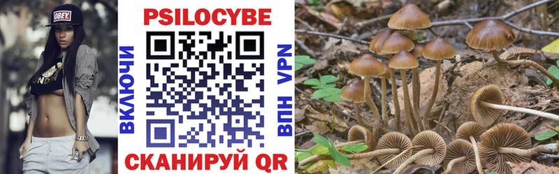 Псилоцибиновые грибы Psilocybine cubensis  Стерлитамак 